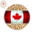 Canada Malting Premium Pale 2-Row Malt Crushed