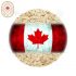 Canada Malting Flaked Oats