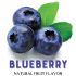 Natural Blueberry Fruit Flavouring - 4 oz Bottle