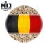 Dingemans Belgian Pilsner Malt Crushed